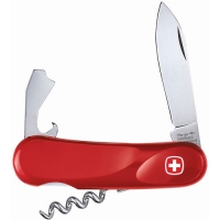 Wegner Evolution 63