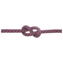 Violeta