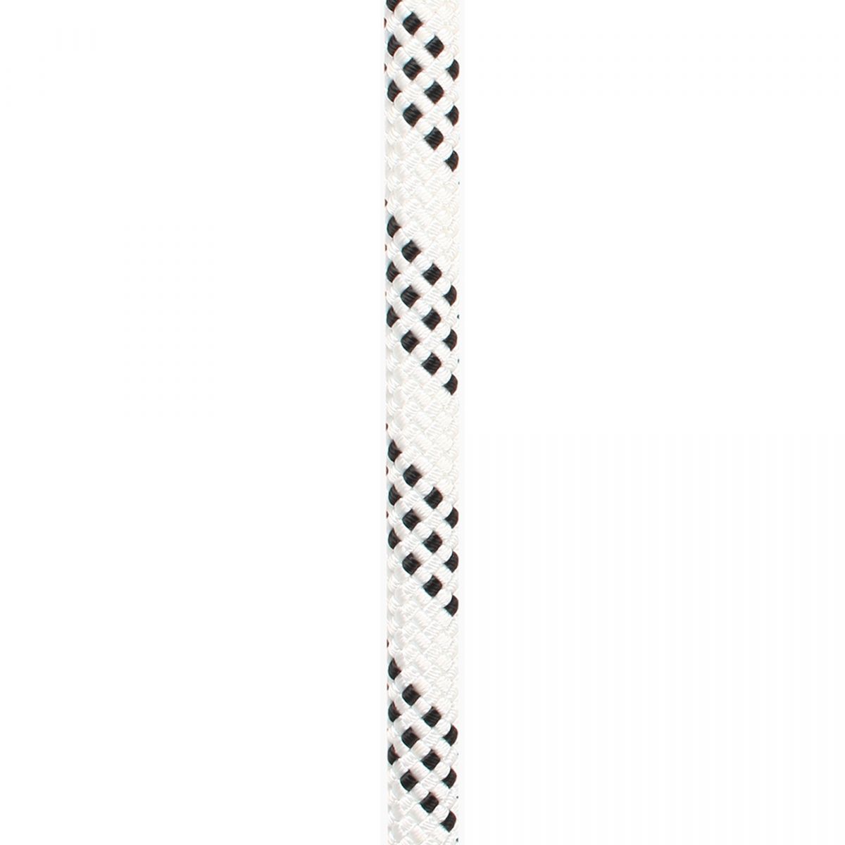 Edelweiss Proline 11mm 200m Blanca