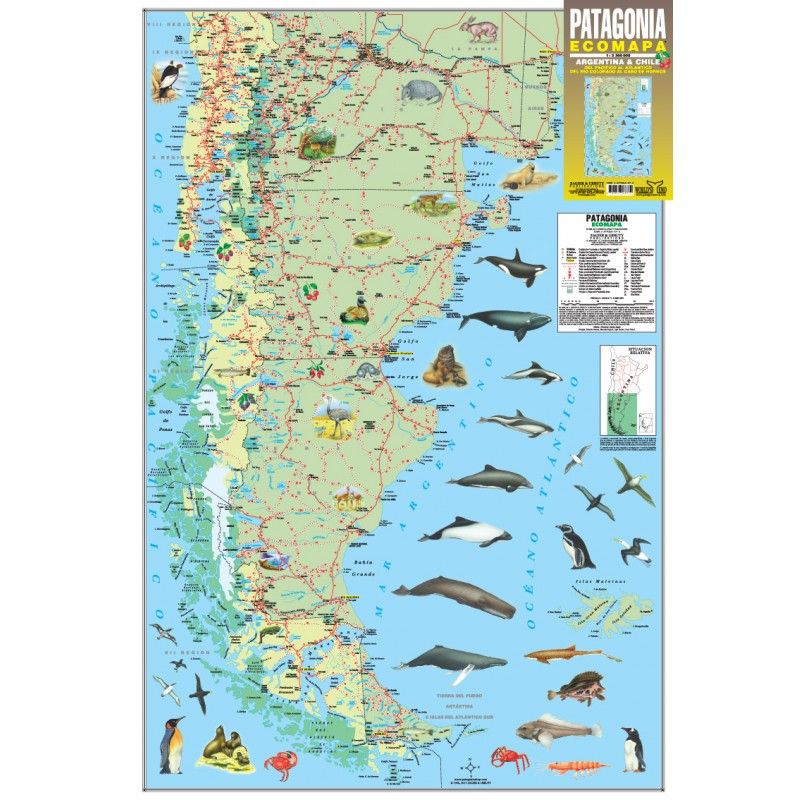 Mapa Patagonia Argentina y Chile Ecomapa - Zagier & Urruty