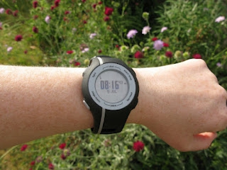 Pulsómetro Garmin Forerunner 110