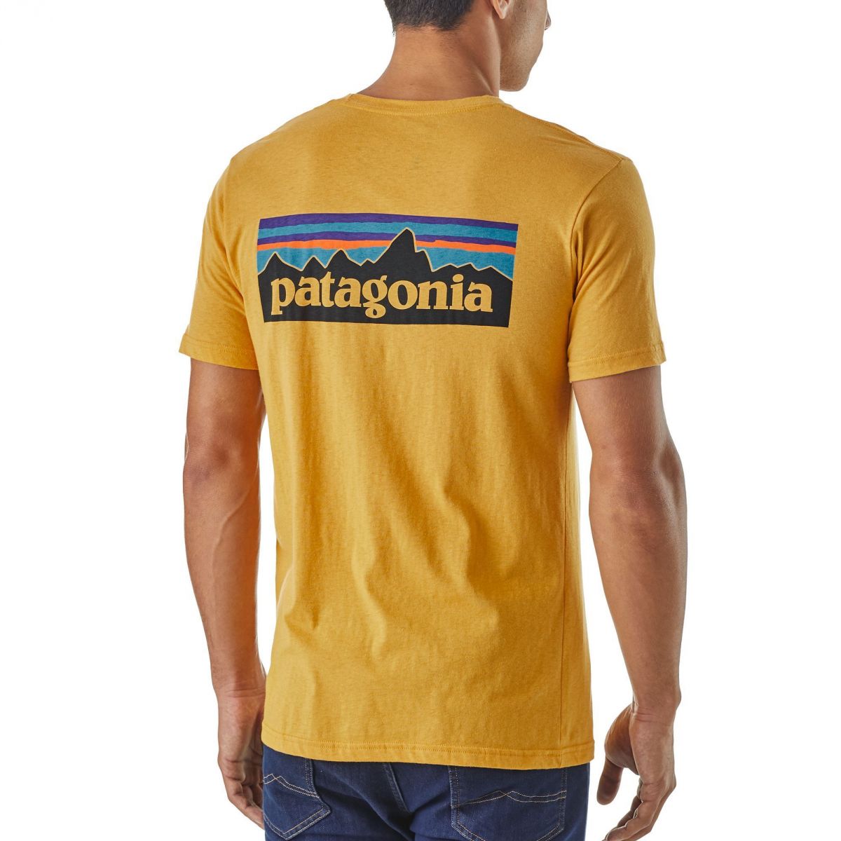 Patagonia Logo Organic T-Shirt