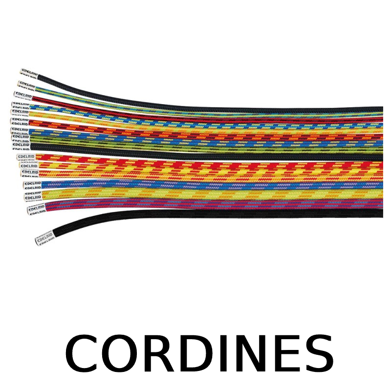 Cordines