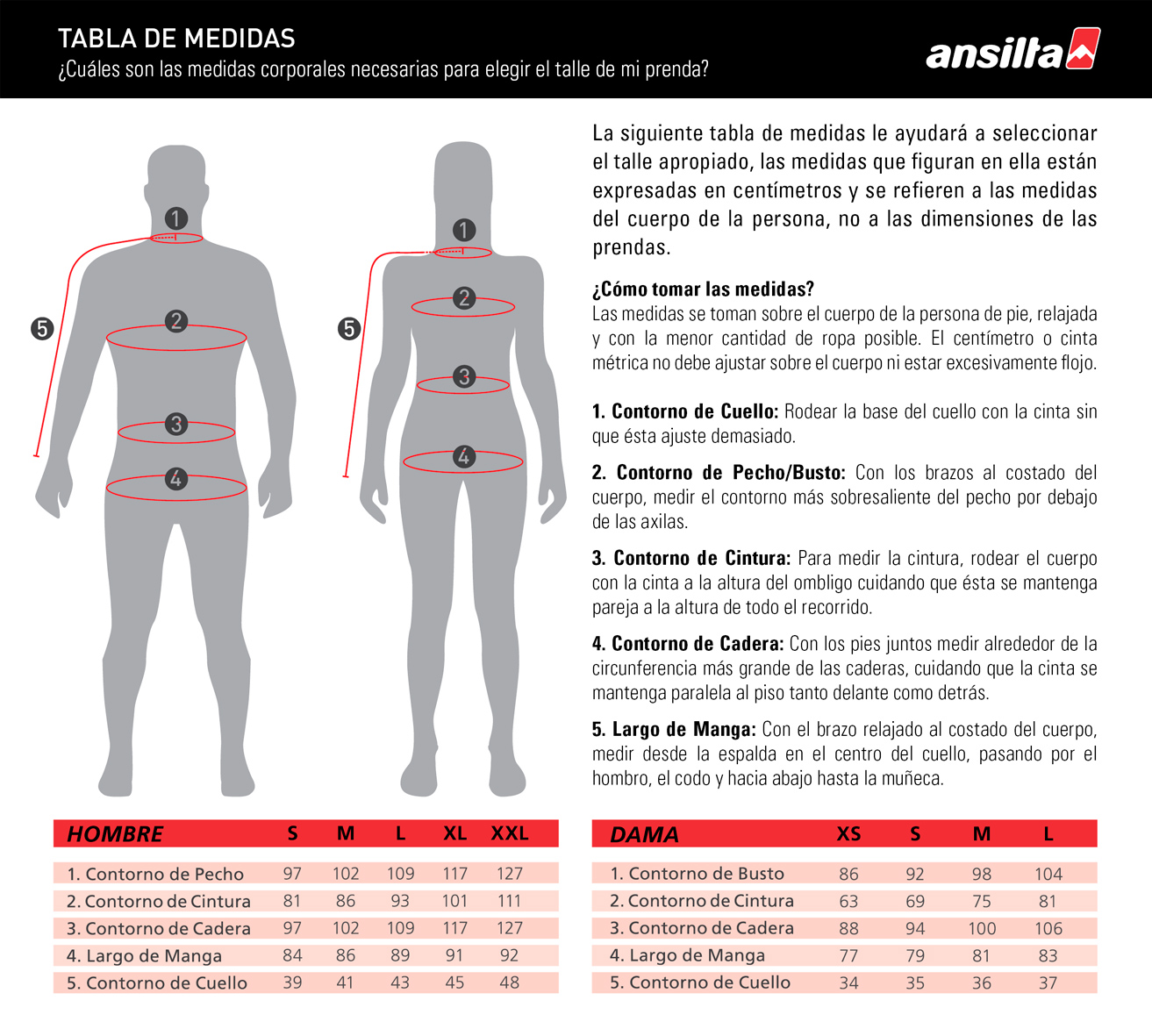 La forma del busto y su relación con el ajuste